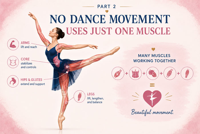 Dance Kinesiology: No dance movement uses just one muscle